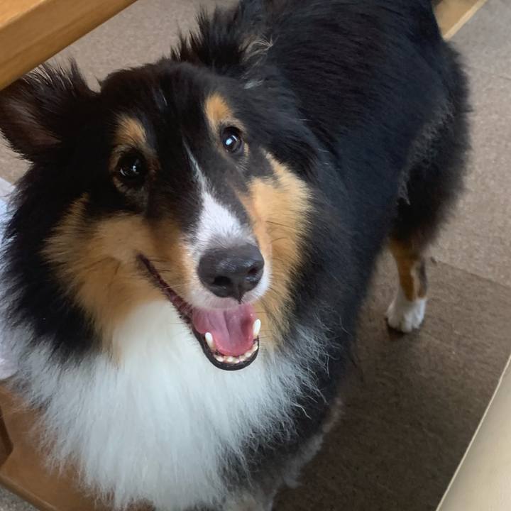 E84110ed 3e36 4bdb 9941 c861d08f341c 1595800356903