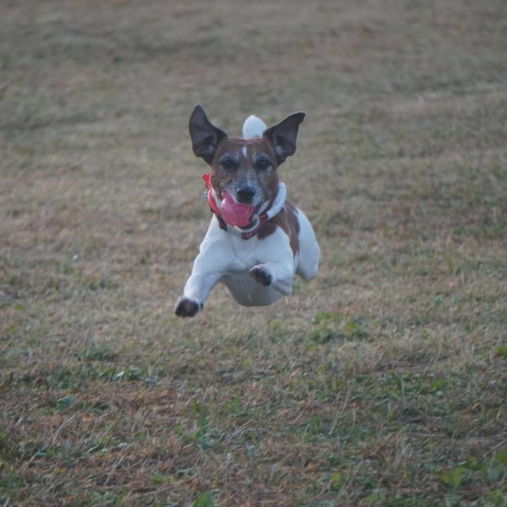 E84124a6 dd7b 416b a719 153bb7d33ee7 1605483120648