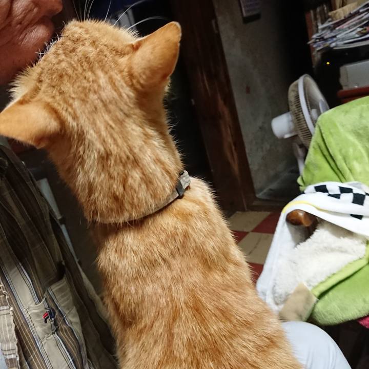 E8414223 4754 495f b746 7e09213f378e 1591989278395