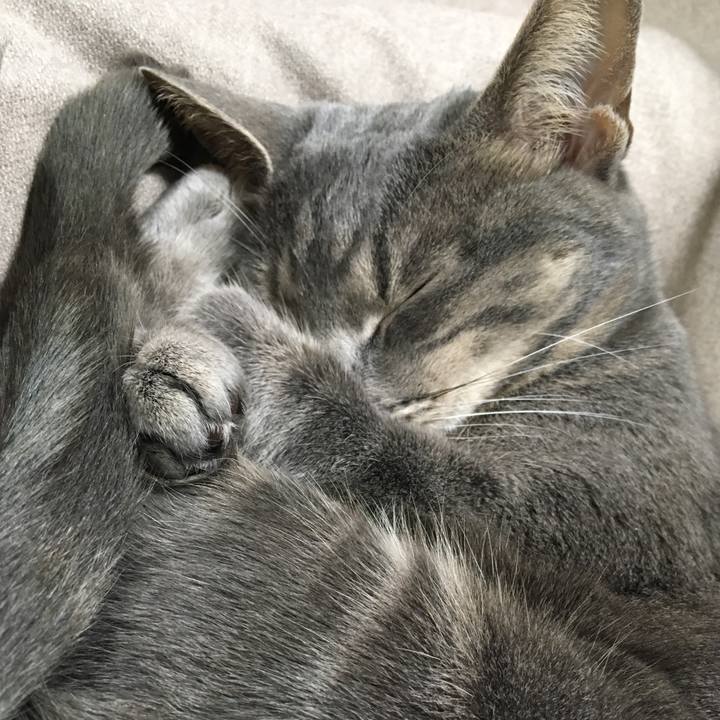 E841a22e a586 4c85 8e50 0f823ca73758 1551788869169