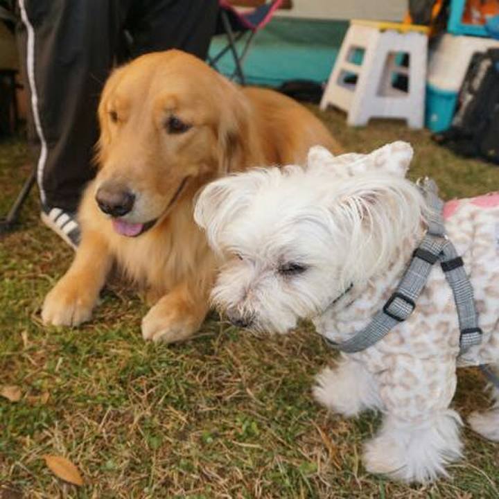 E841e06b 4ffe 4303 94ba 00fb125fb490 1511849980072