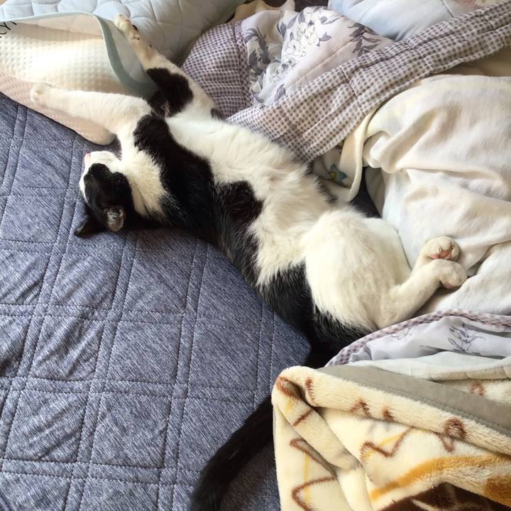 E84219ba 64c0 4621 9d97 d4f2dd316d6b 1760948347874