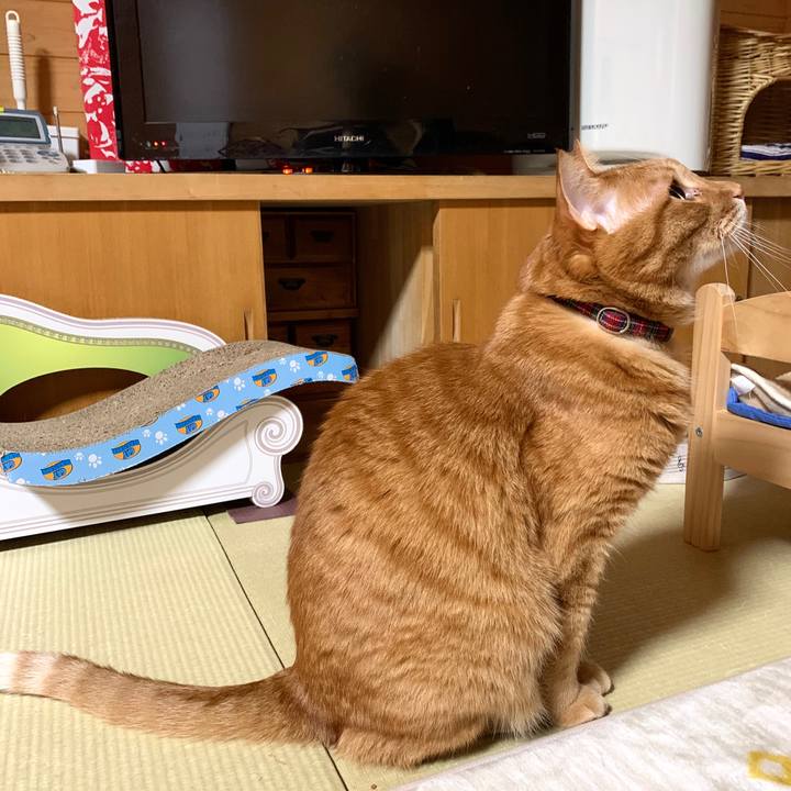 E8422757 7b83 4ffb ade3 a7c02d86f8e6 1580044944745