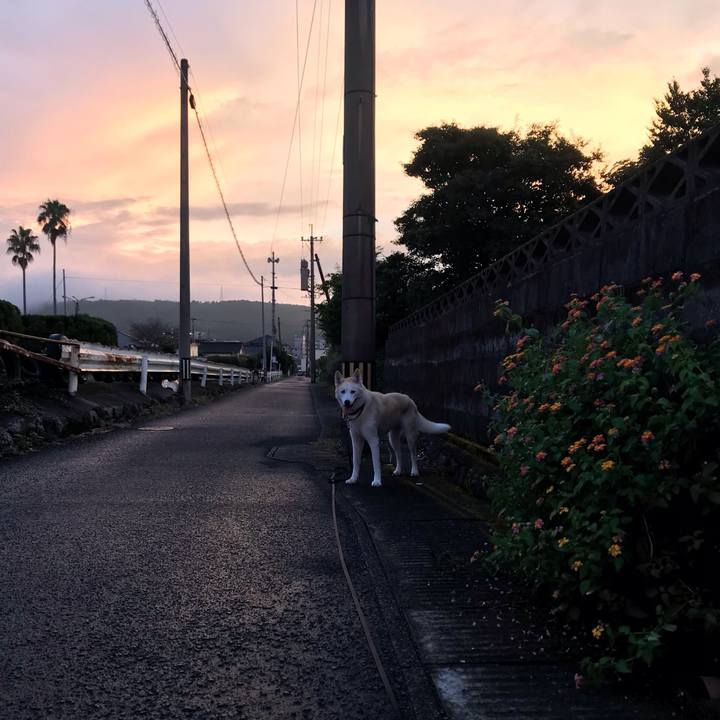 E842284f 8419 4a06 b987 b43379c05b50 1759488135297