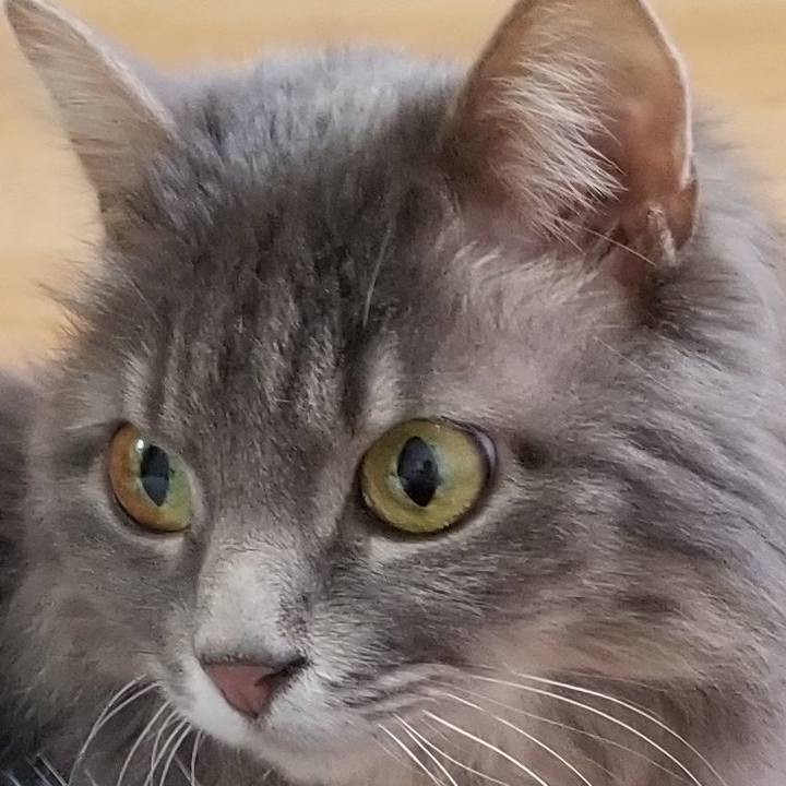 E8423712 264f 413e 9c0c ae07de83943e 1557520163824