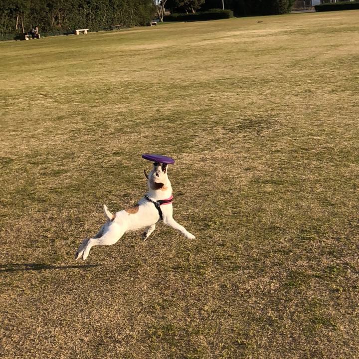 E8423a49 9894 40fc 9078 ecc4013be969 1521885598071