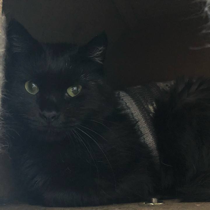 E842aa58 a1c9 4dff 83c9 cf8545fcdef0 1603607162294