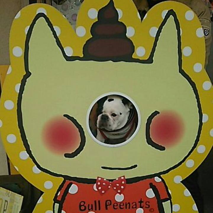 E842cfe0 e433 428a bcad 2b930c4d3063 1514089696799