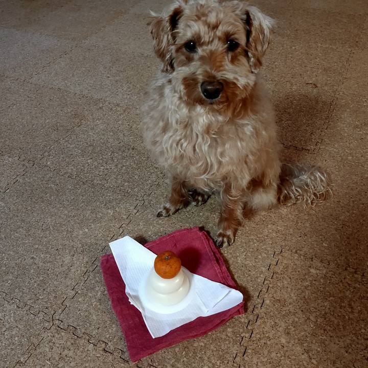 E843528c 28a9 4368 bcf5 367bb1d4756c 1609454807535