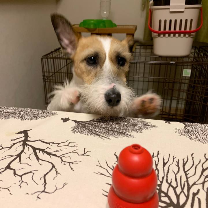 E843625e b3b0 40f1 97a2 8fd8d51672d1 1587727990959