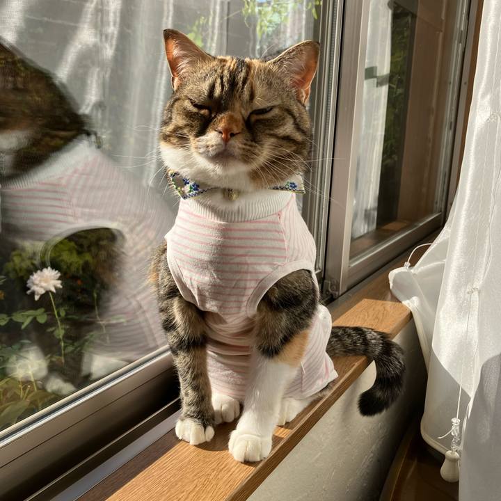 E8437636 2a79 4809 b8bb 6c0269569438 1764562771649