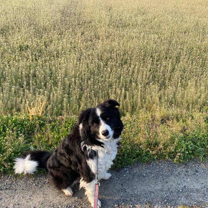 E843ad0b 3313 49d8 aa14 f204820bd78a 1615331049650