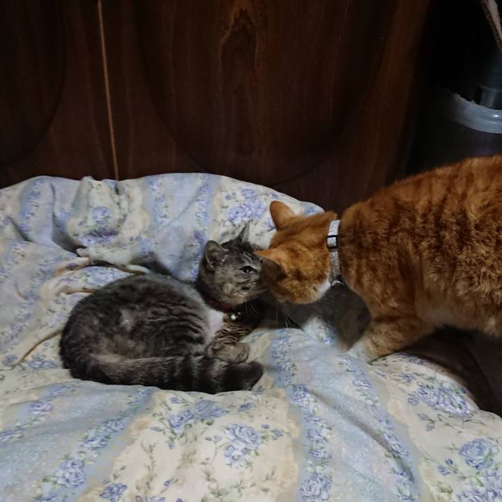 E843cada 341f 4c6f 92dd fc2228d444a7 1587789431176