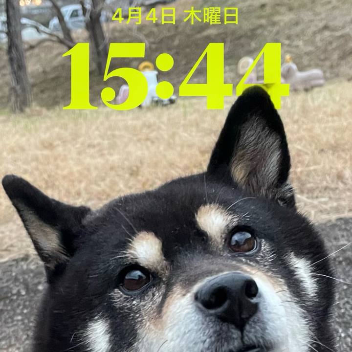 E8443285 54b9 4b75 b8cd 9facd8721676 1712213647337