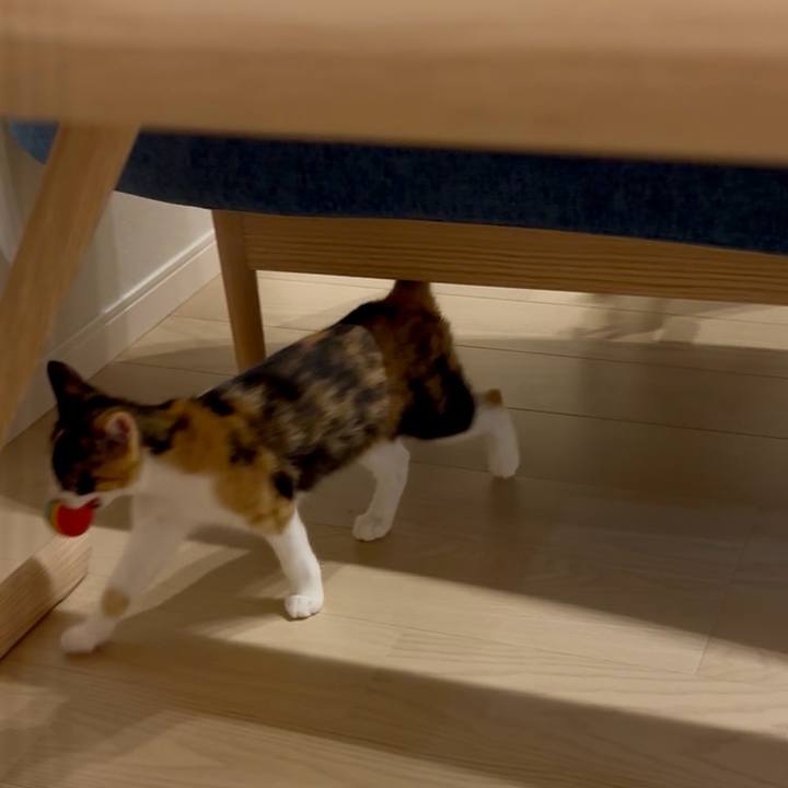 E84442af b35a 4fac adda 85f24b8f7c9f 1758026063475