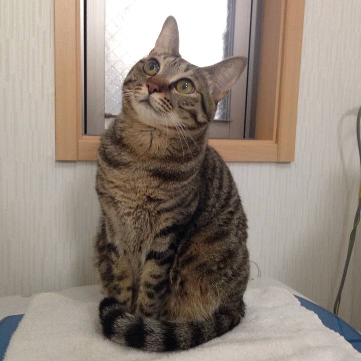 E8445049 ec58 4ee9 bed0 097d4525e8a0 1512277348375