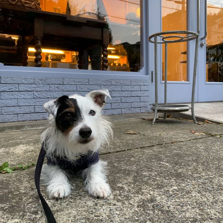 E8447746 2cf2 4723 a4f1 0a8a9644bd2e 1665218279682