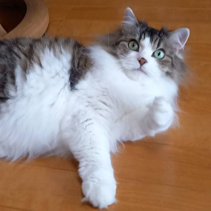 E844917b fdb5 45bc b9b7 e10556fb283b 1688676597412