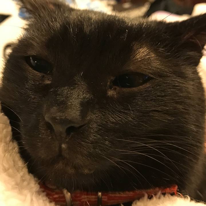 E844b588 80bc 46d3 8b8b 62cac922831b 1547901519155