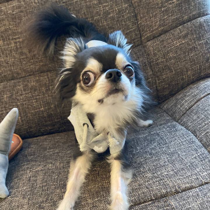 E844c0a9 2355 40f3 a909 25c5ebbfd59b 1712400715842