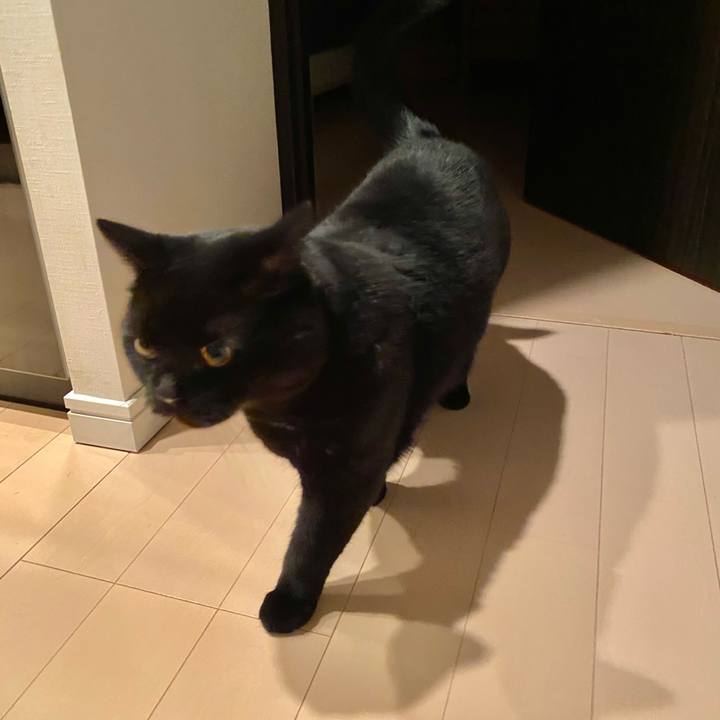 E844cfda e7e8 4180 b4ec f52ae8eec824 1705151557398