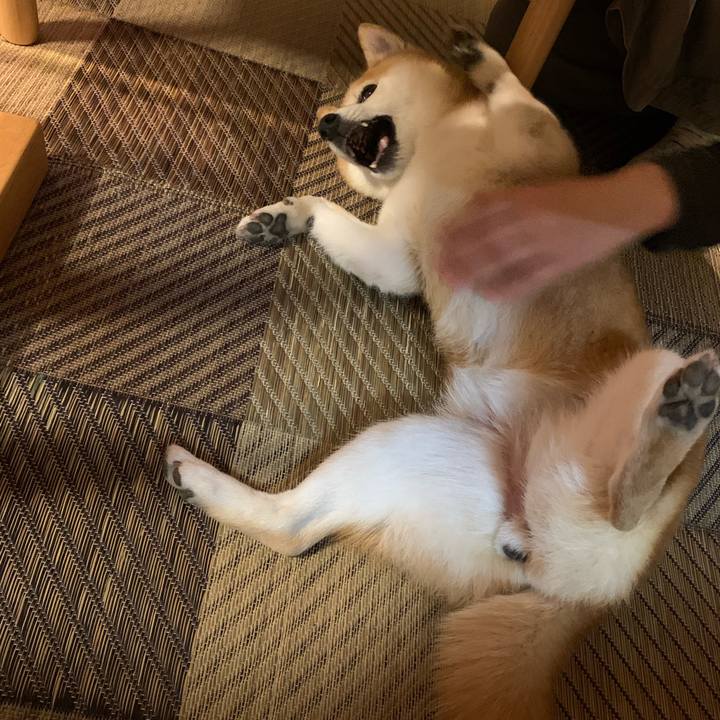 E844eb8f b11d 4add acd0 dc897675fa28 1589113540460