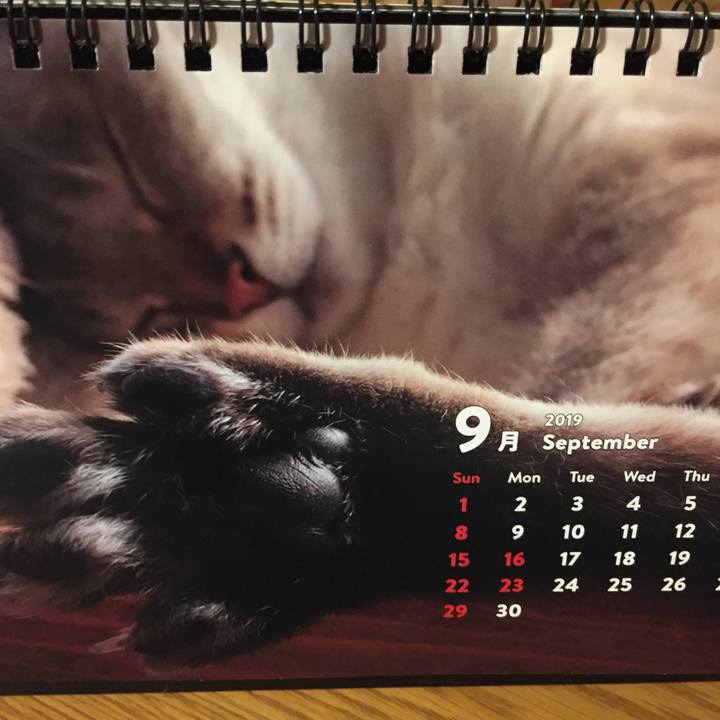 E844fe21 1c23 4a0f a280 758c868aa327 1567337851183