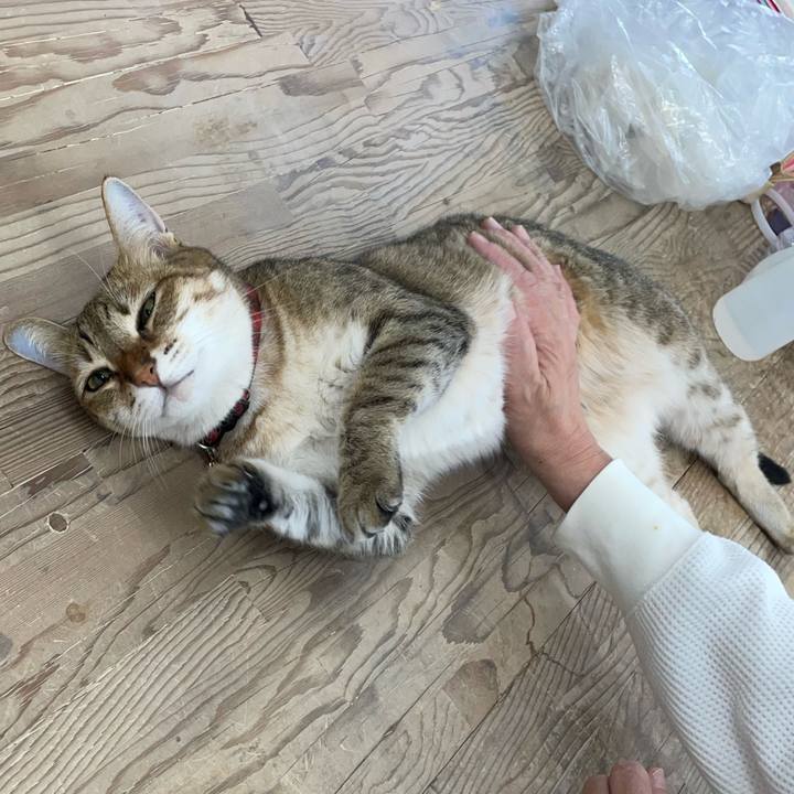 E845111d d825 4a41 ba4e 886a27830e22 1696601275062