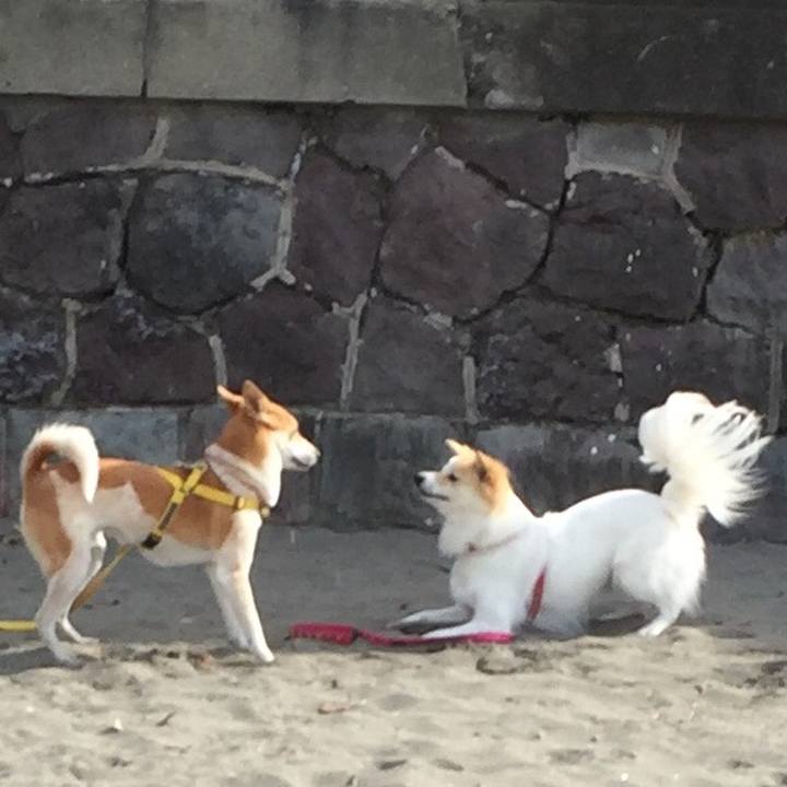 E845168c 6045 45b3 87eb b0dcd0600c14 1512970310455