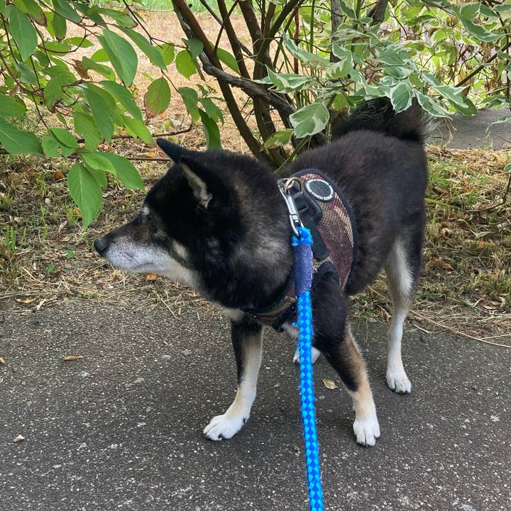 E845239e 7087 4c7a 9074 de05ed154b05 1628117918315