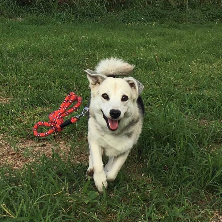 E8456427 52b7 430d bb98 cc811fa16e0b 1584018474682