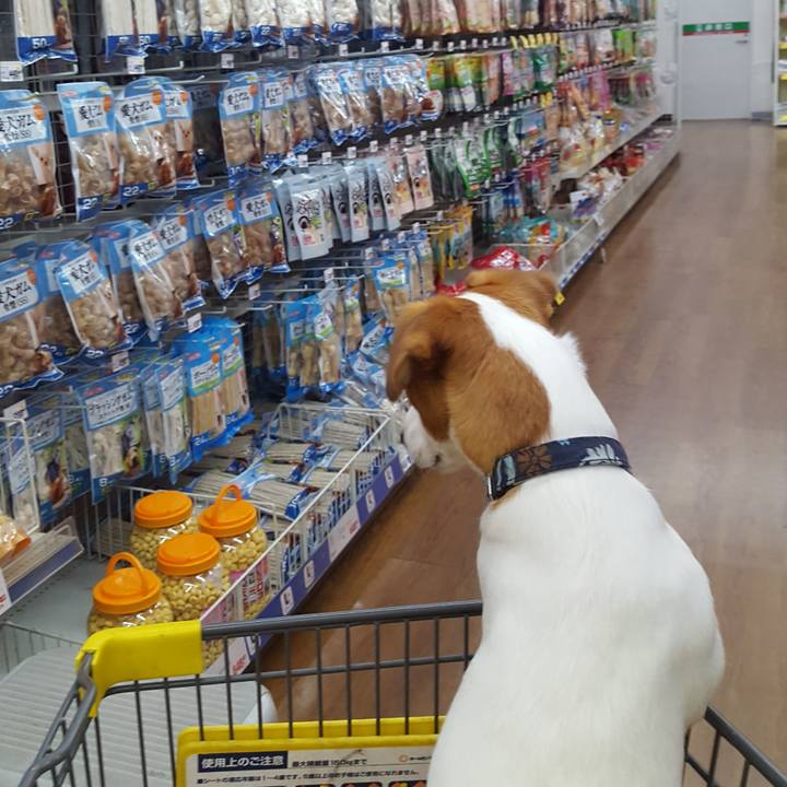 E8456488 8a3c 4a64 8237 35bc61e1446f 1563779417599