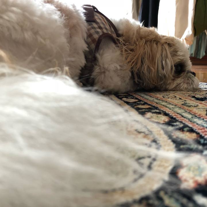 E845a46f 79fd 4fbe a103 106773aac058 1539726584910