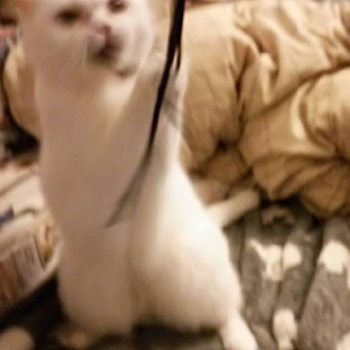 E845bfb0 e609 4507 b40c 594fec1c0db8 1520981961467