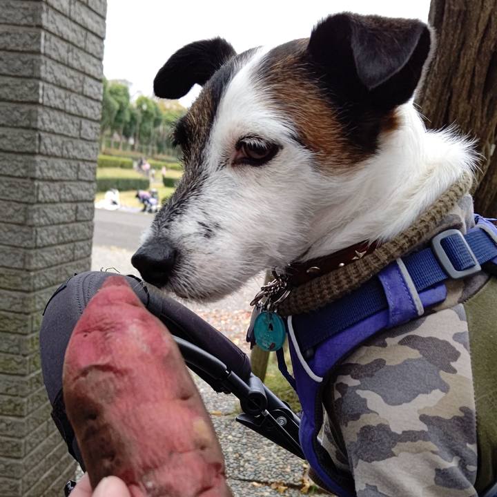 E845cea8 7c02 4f1b b553 05fe76ad17d1 1637476080954