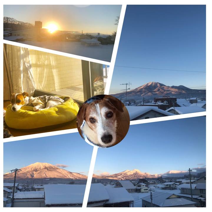 E8461e24 1633 4af0 9018 97153e73f028 1546558595911