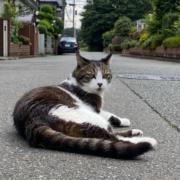 E84658dd 2b13 46cd ab39 712c7c565ceb 1623068649211