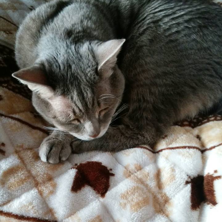 E8468ef6 ac49 4521 b965 02f763163829 1577401217623