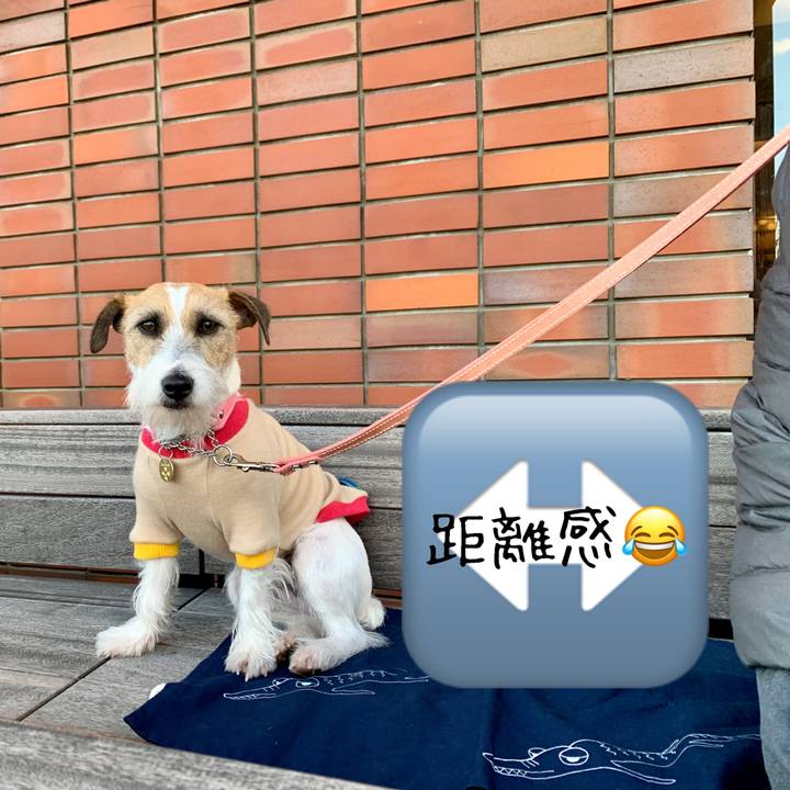 E846d718 fb6e 4203 b5b7 331c900fa671 1608382489261