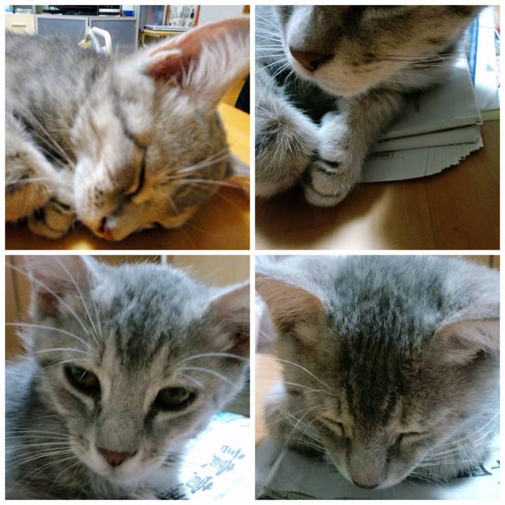 E846fb93 e8d8 40ad afca 4f6ec0477cad 1629863785272