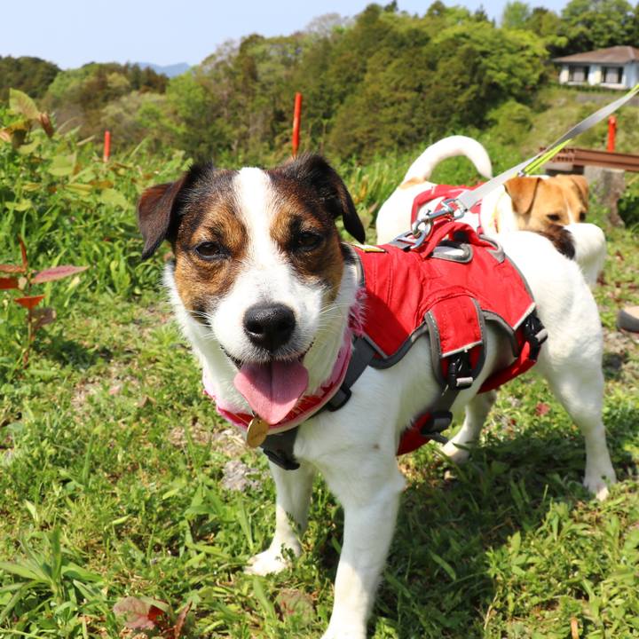 E8471110 d61f 4cc9 9fe9 3e76986a7076 1555830783008