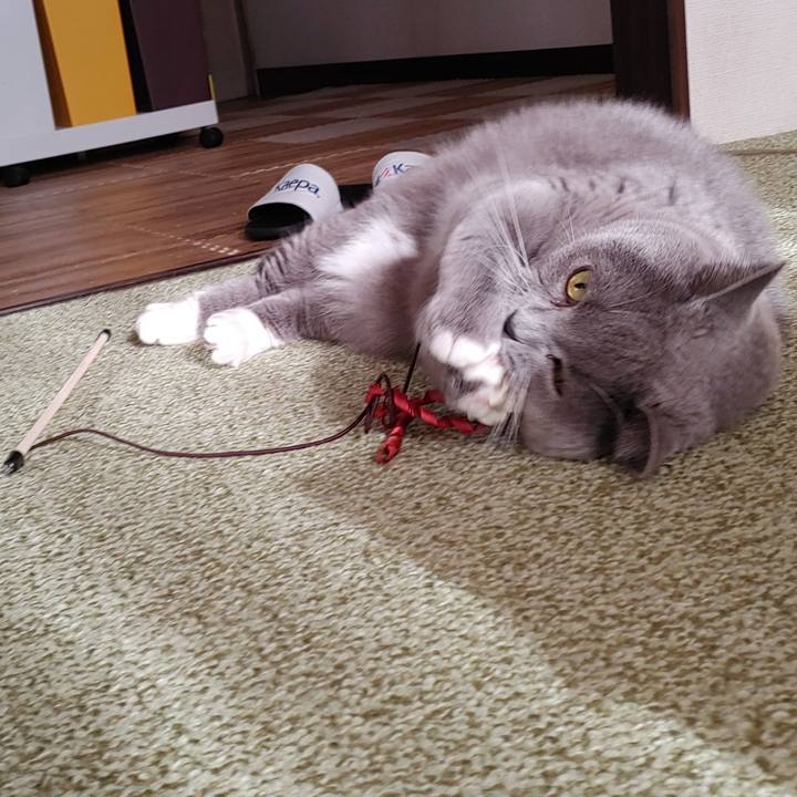 E84727ce c2a1 4eea b4c6 1d449f7d675c 1670115887144