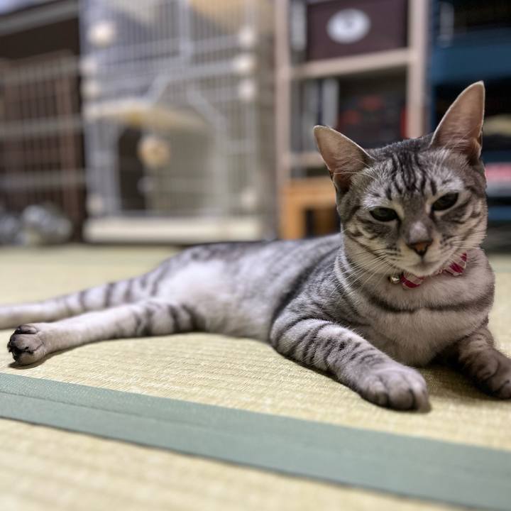 E8474eee 9b6e 41e1 bd4f f6a4e016dc93 1725362899071