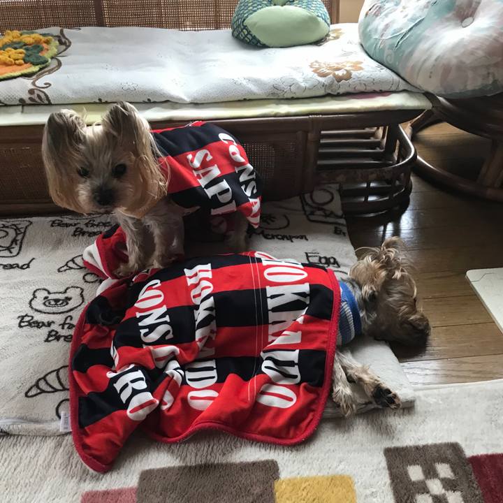 E8479591 8809 4760 aa6c cd389a0dd30a 1651569687104