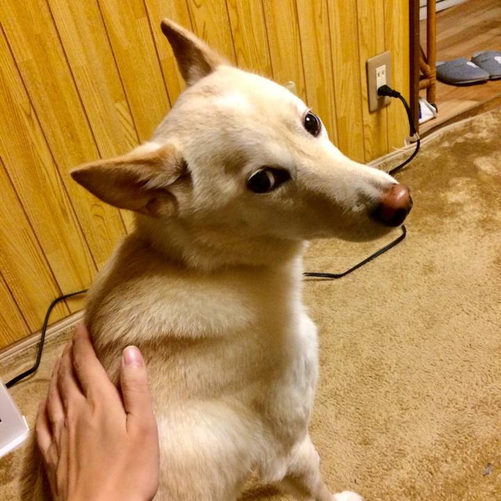 E847b25f 68b1 4e86 a820 1203963af540 1544870225662