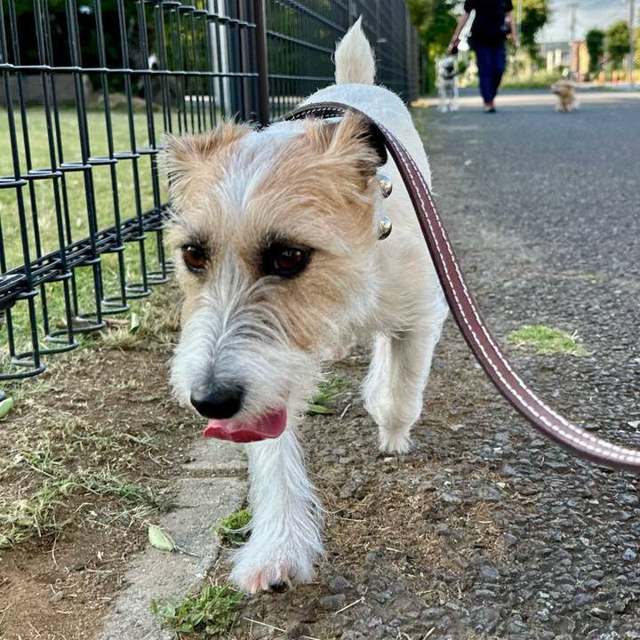 E8480480 cf48 4c3f abc1 55428e79165c 1718619163415