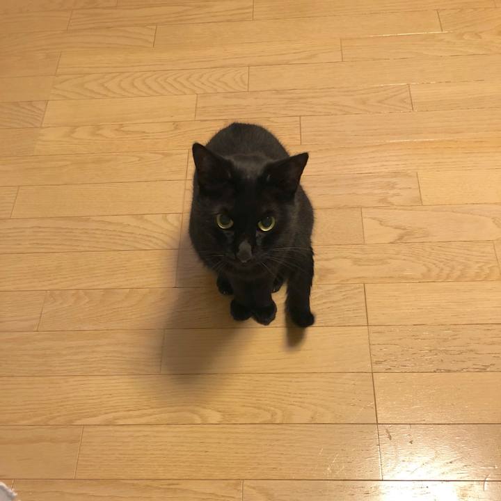 E848123c 7f6d 42a0 849e 4dab1ac65014 1573220161192