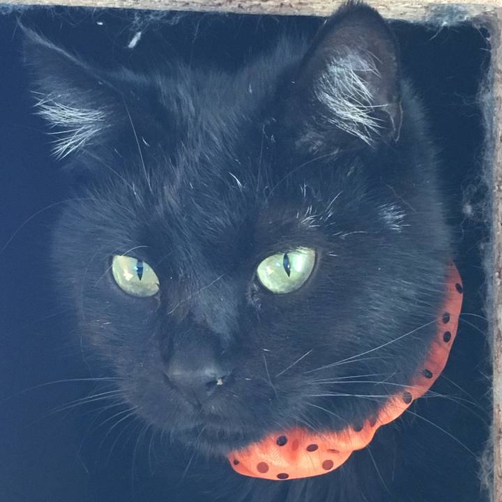 E8482366 00da 4325 876e 233021321f6a 1538174733293