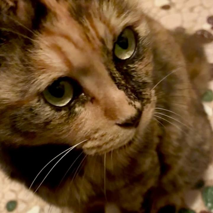 E8486364 dc89 4cb9 b08e d0966d032310 1755635645175