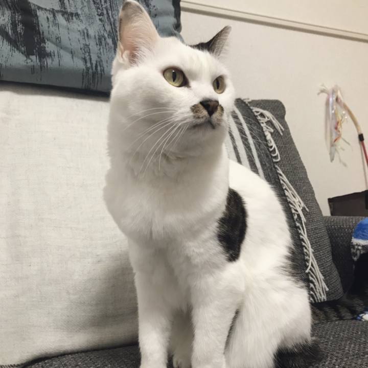 E848726d 05c2 44e9 9a3d e8c645ca4a4e 1549606615303